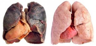 kuřáky a zdravé plíce